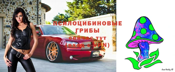 mix Алексин
